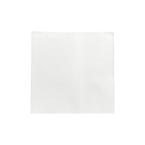 紙ナプキン　4折 250x250mm　10,000枚　※北海道・九州・沖縄・離島 送料別途 ※個人宅配送不可