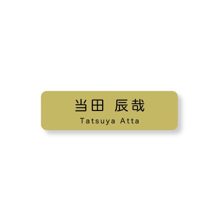 《自分でデータ編集》 ネームプレート 二層板(金・黒) 70×20mm ピン・クリップ両用タイプ B0014-0061