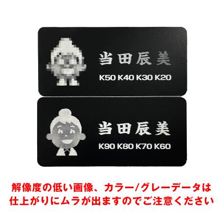 B0014-0073｜ネームプレート 二層板 60×30mm ピン・クリップ両用タイプ
