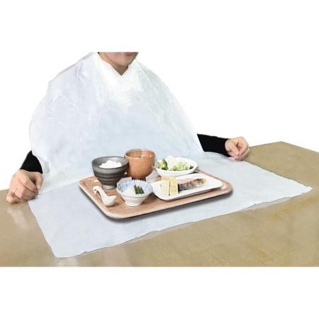 フジ食事用エプロン　1,000枚　※北海道・沖縄・離島 送料別途　※個人宅配送不可 (尚美堂/フジナップ)