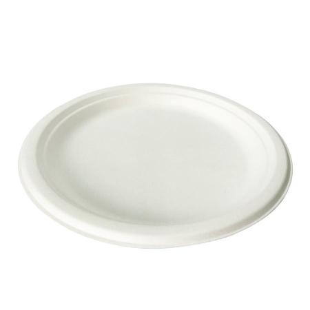 さとうきびプレート(大)　21.5cm 800枚　　※沖縄・離島 送料別途