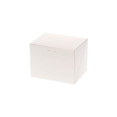 カットケーキ箱(1個用)　洋生 9×12 ホワイト 100枚　※沖縄・離島 送料別途