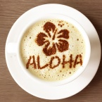 カフェアートステンシル　Aloha　LAS-0046　4573169220467