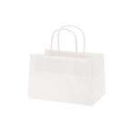 手提げ紙袋(丸紐)　オブロングバッグ　23-15 白無地 100枚　※沖縄・離島 送料別途