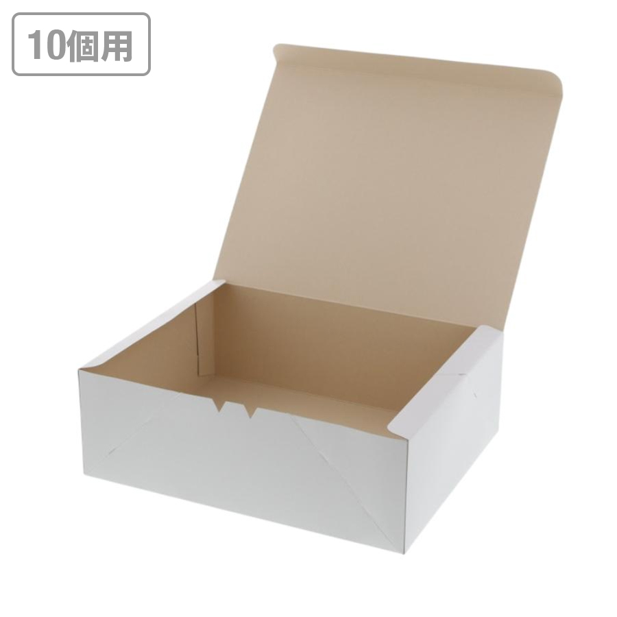 カットケーキ箱(10個用) 食品箱 洋生 白E 50枚 ※沖縄・離島 送料別途
