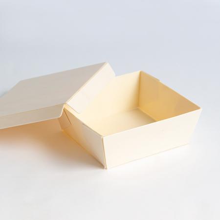 POPLAR-5046set｜ポプラBOX 正方(本体+平フタ) 200個セット