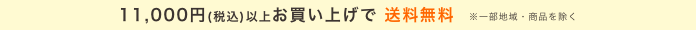 11,000円(税込)以上お買い上げで送料無料