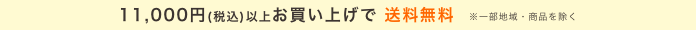 11,000円(税込)以上お買い上げで送料無料 11,000円(税込)以上お買い上げで送料無料